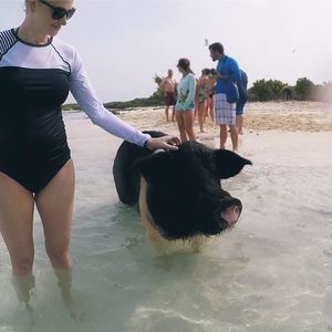 Meet your Posher, Liz